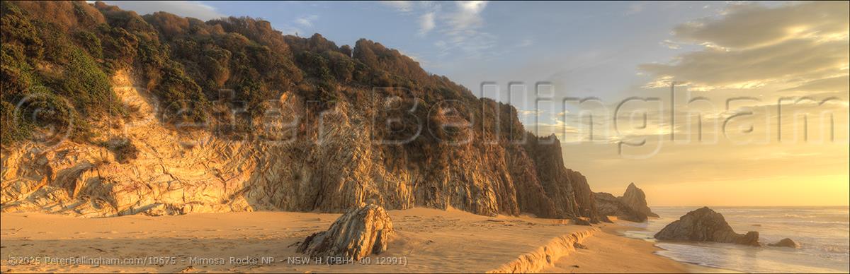 Peter Bellingham Photography Mimosa Rocks NP - NSW H (PBH4 00 12991)